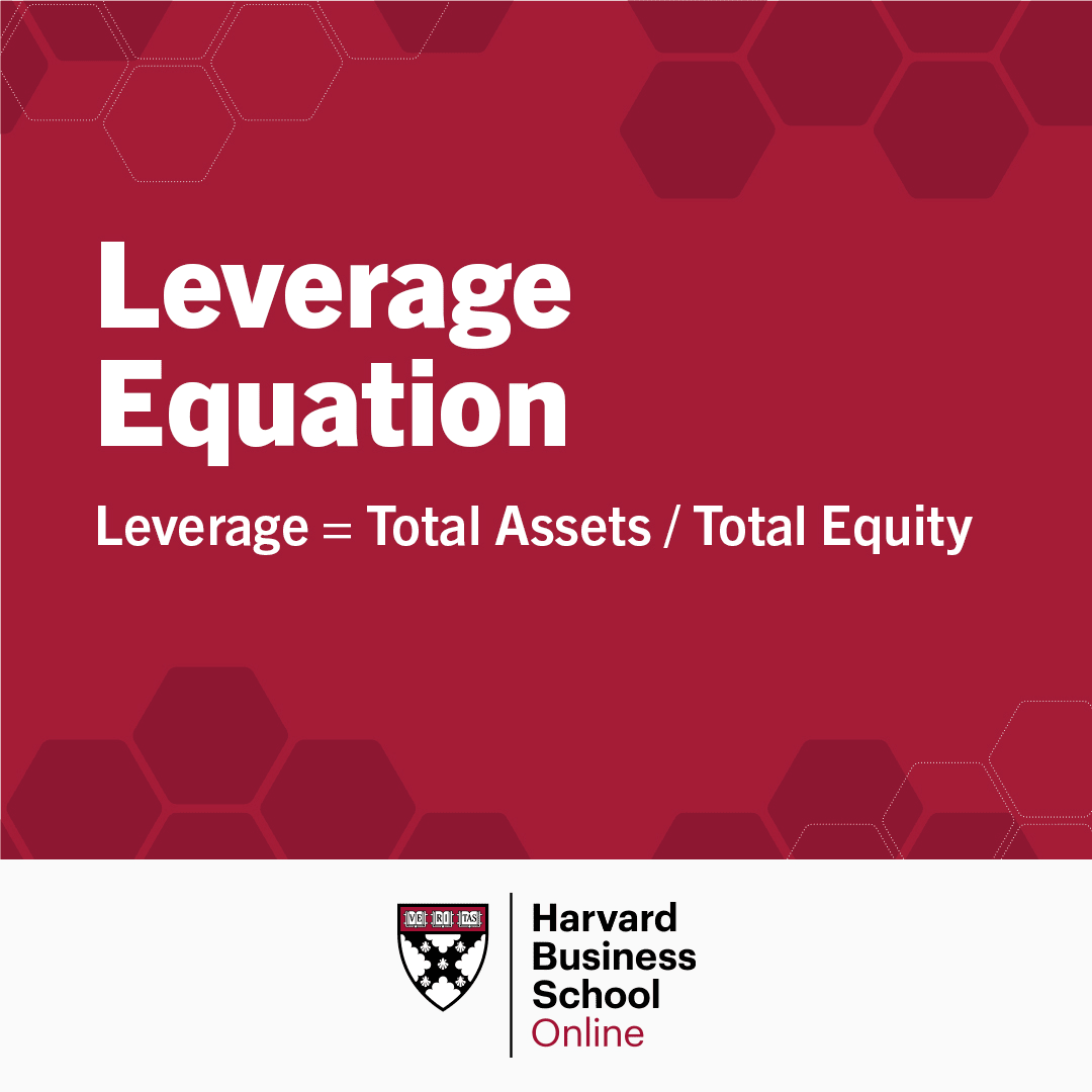leverage equation: leverage equals total assets divided by total equity