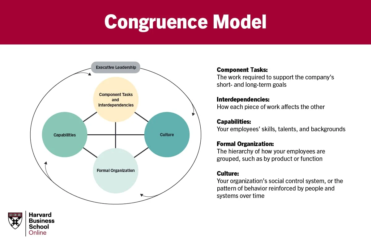 A custom graphic showing what a the congruence model is with defintions for each part of the model: Component Tasks, Interdependencies, Capabilities, Formal Organization, and Culture.