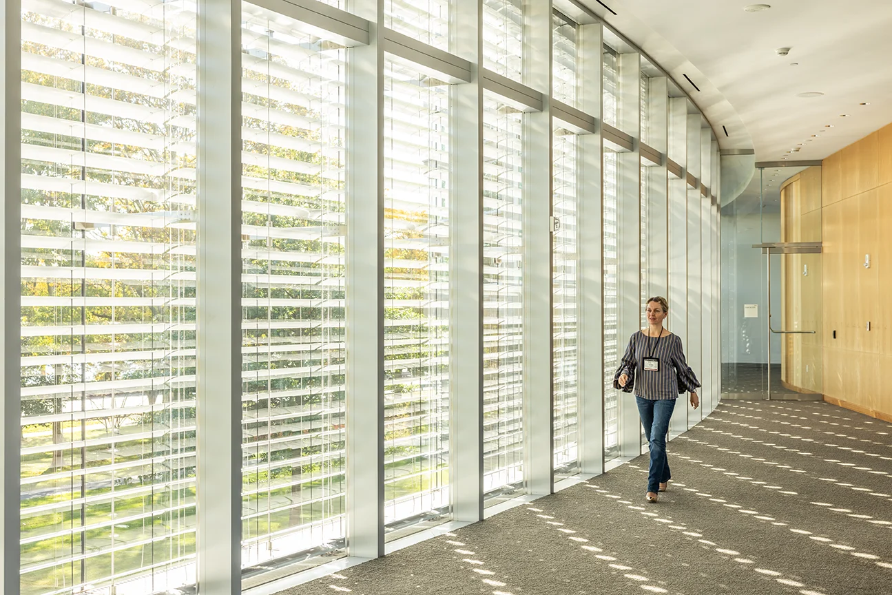 A woman walks down a modern, sunlit hallway with large glass windows covered in horizontal blinds