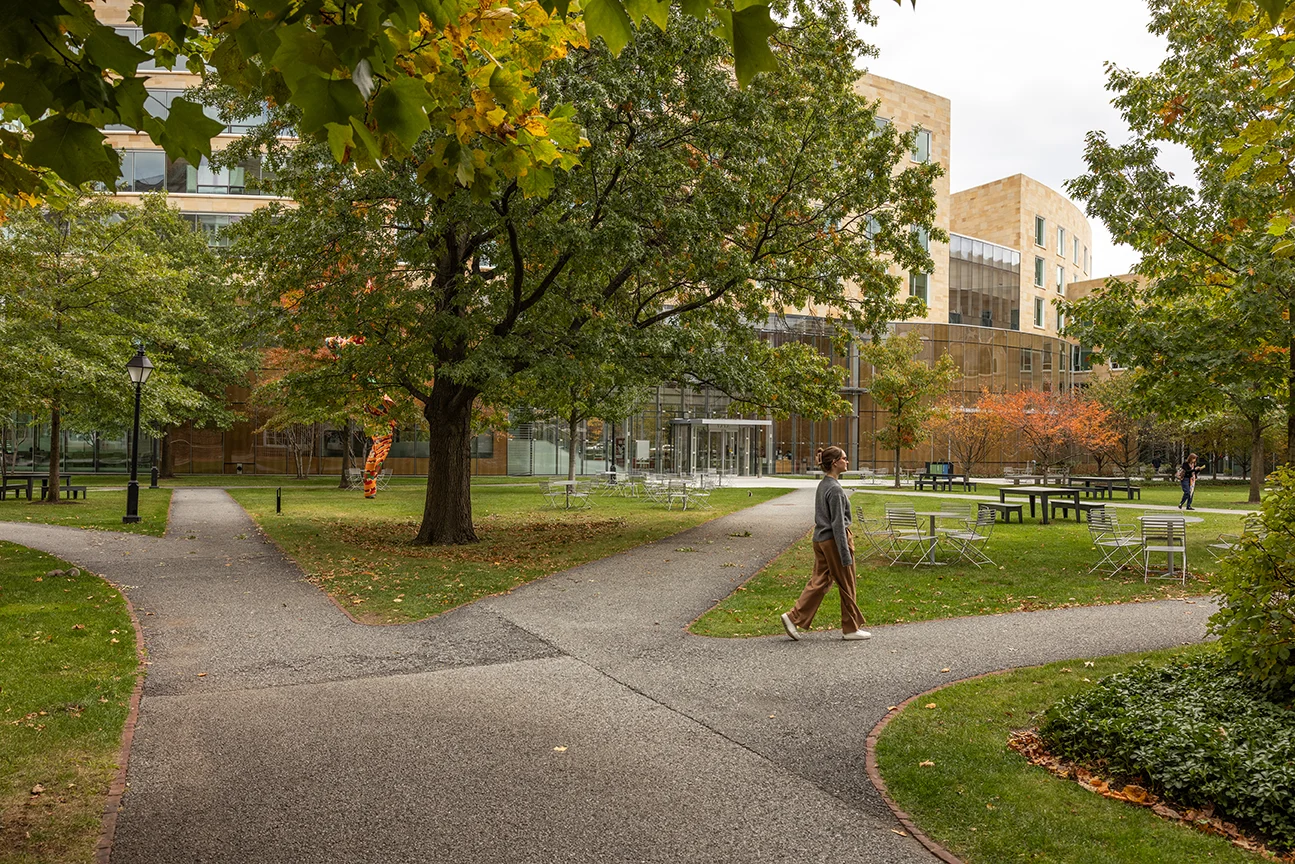 Woman walking across HBS campus on sidewalk lined with vibrant autumn trees 
