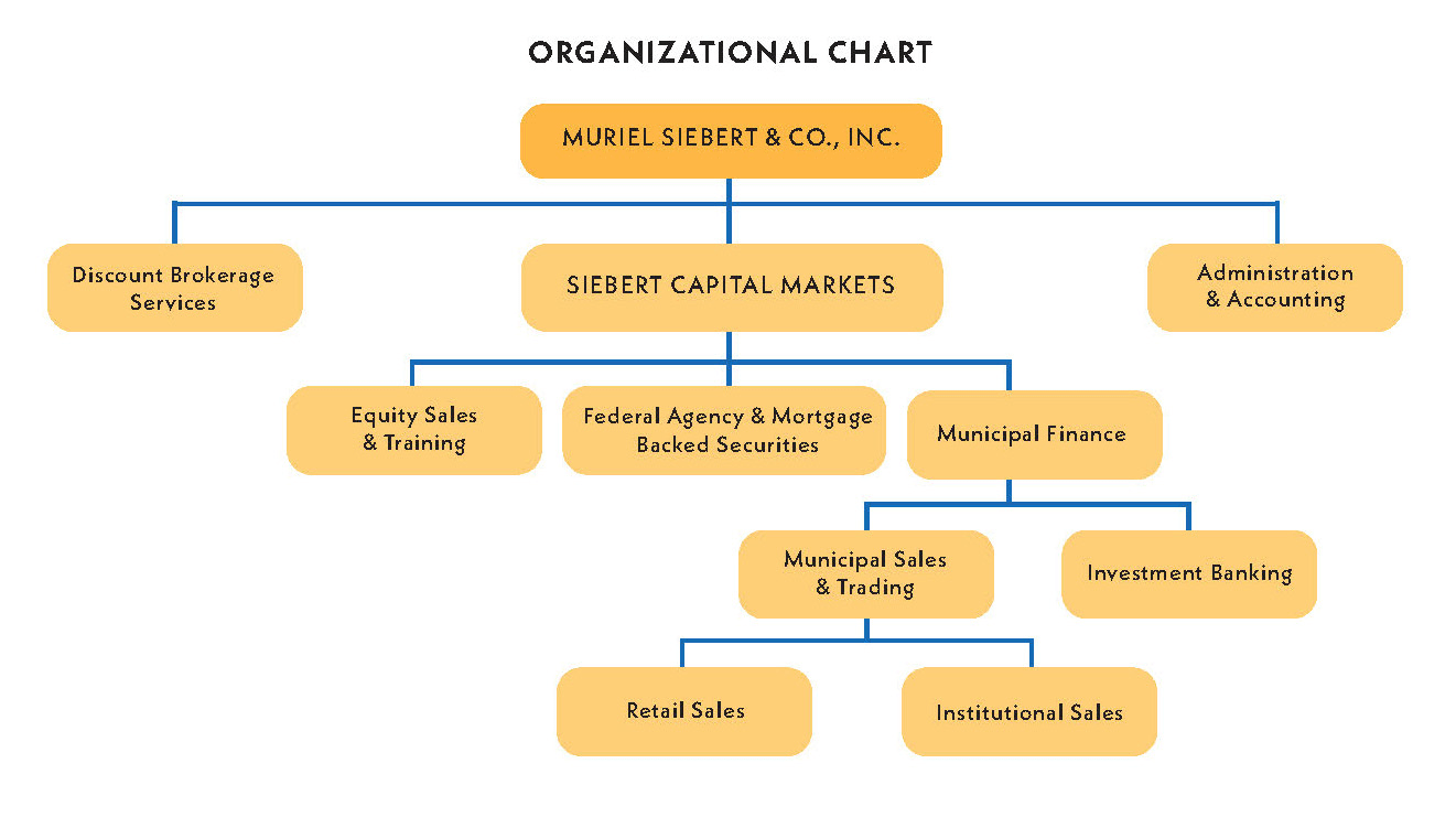 Organizational chart for Muriel Siebert & Co., Inc. showing divisions like Capital Markets, Brokerage, and Municipal Finance.