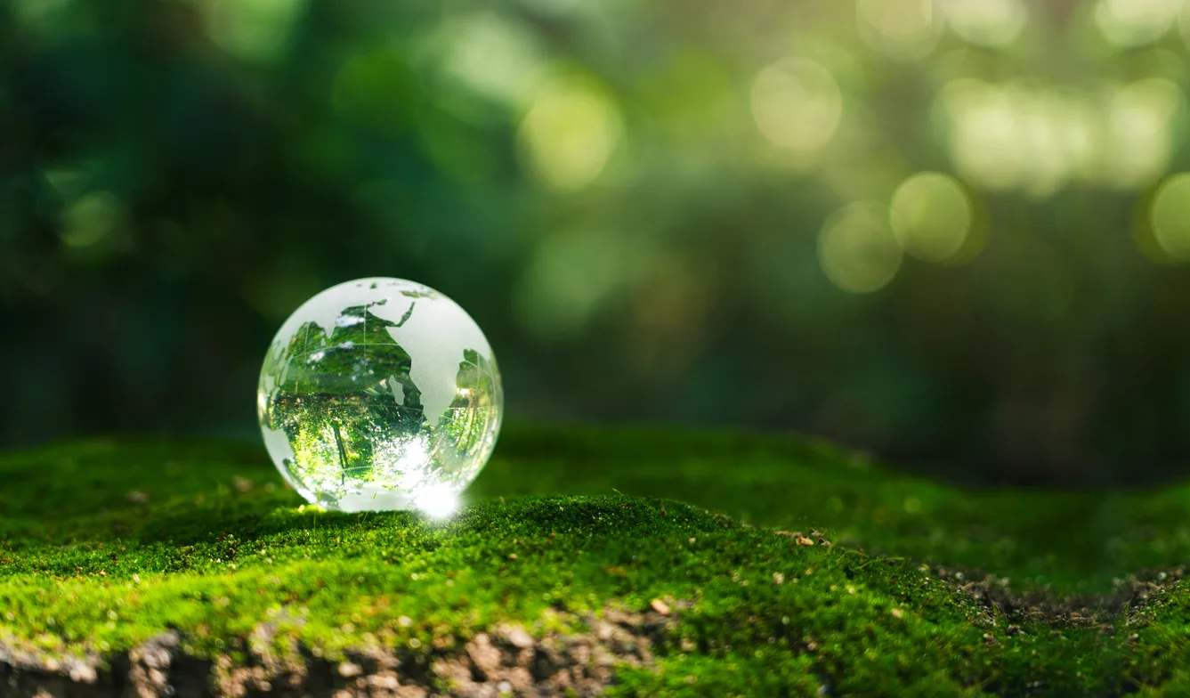 Green competition is redefining business strategy and risks