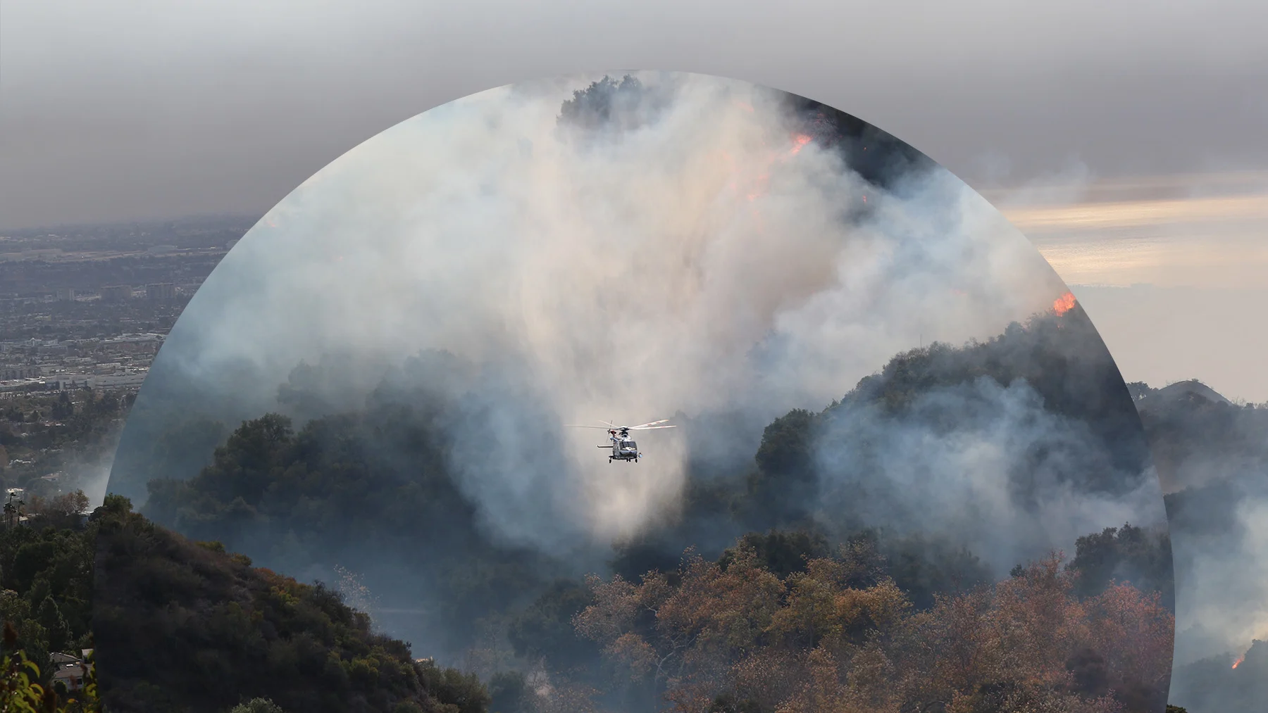 Wildfire smoke above a tree line