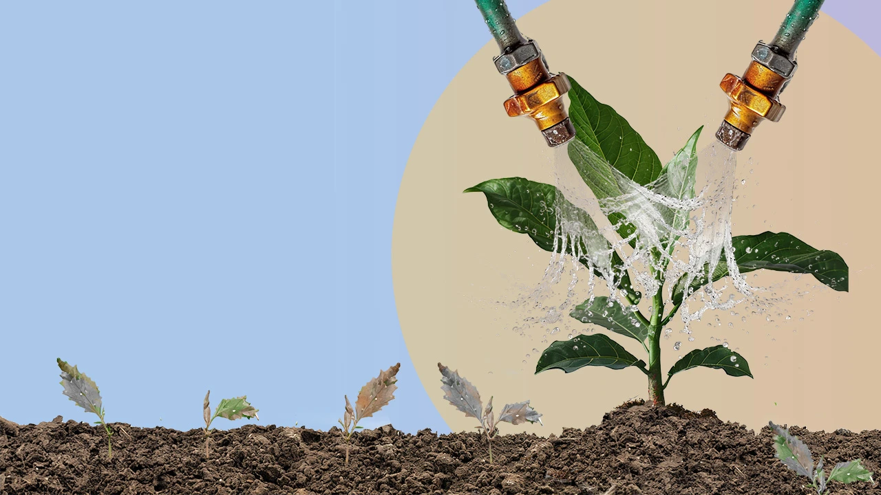 image composite depicting climate change
