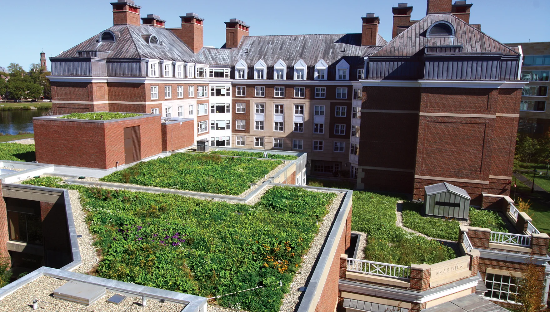 Green Roof, McCollum Center