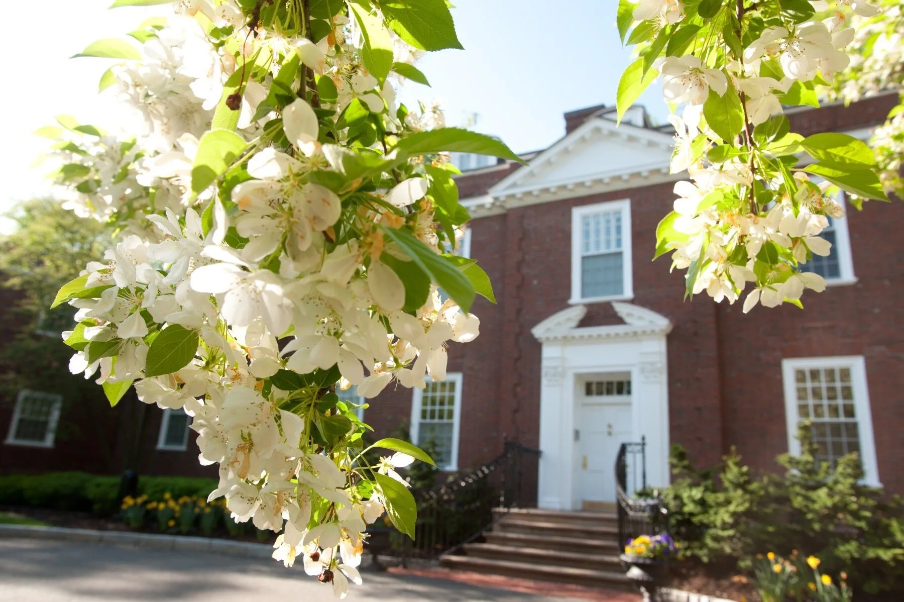hbs campus