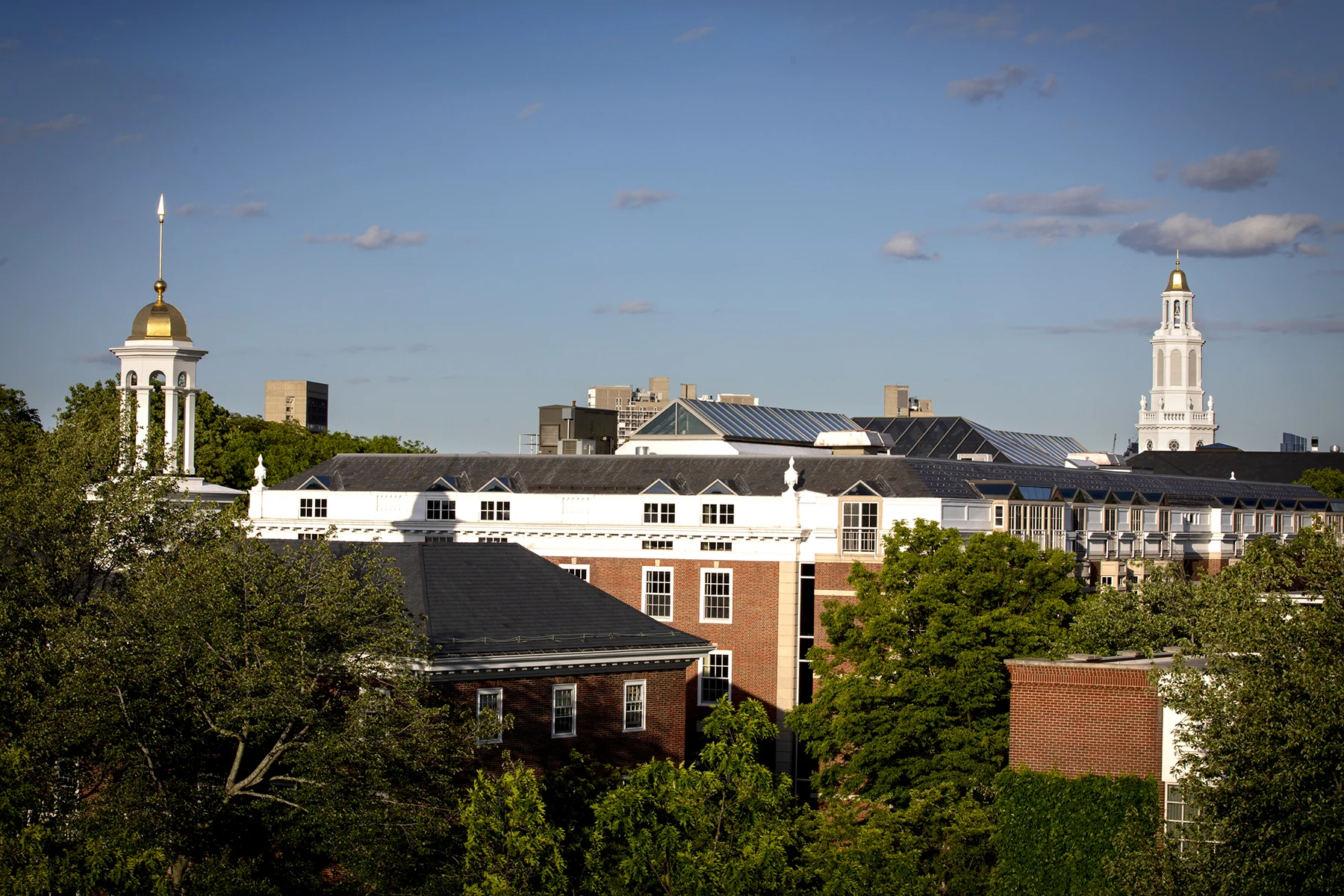 Every aspect of the Harvard Business School campus is designed to facilitate daily interactions that increase the potential for learning.