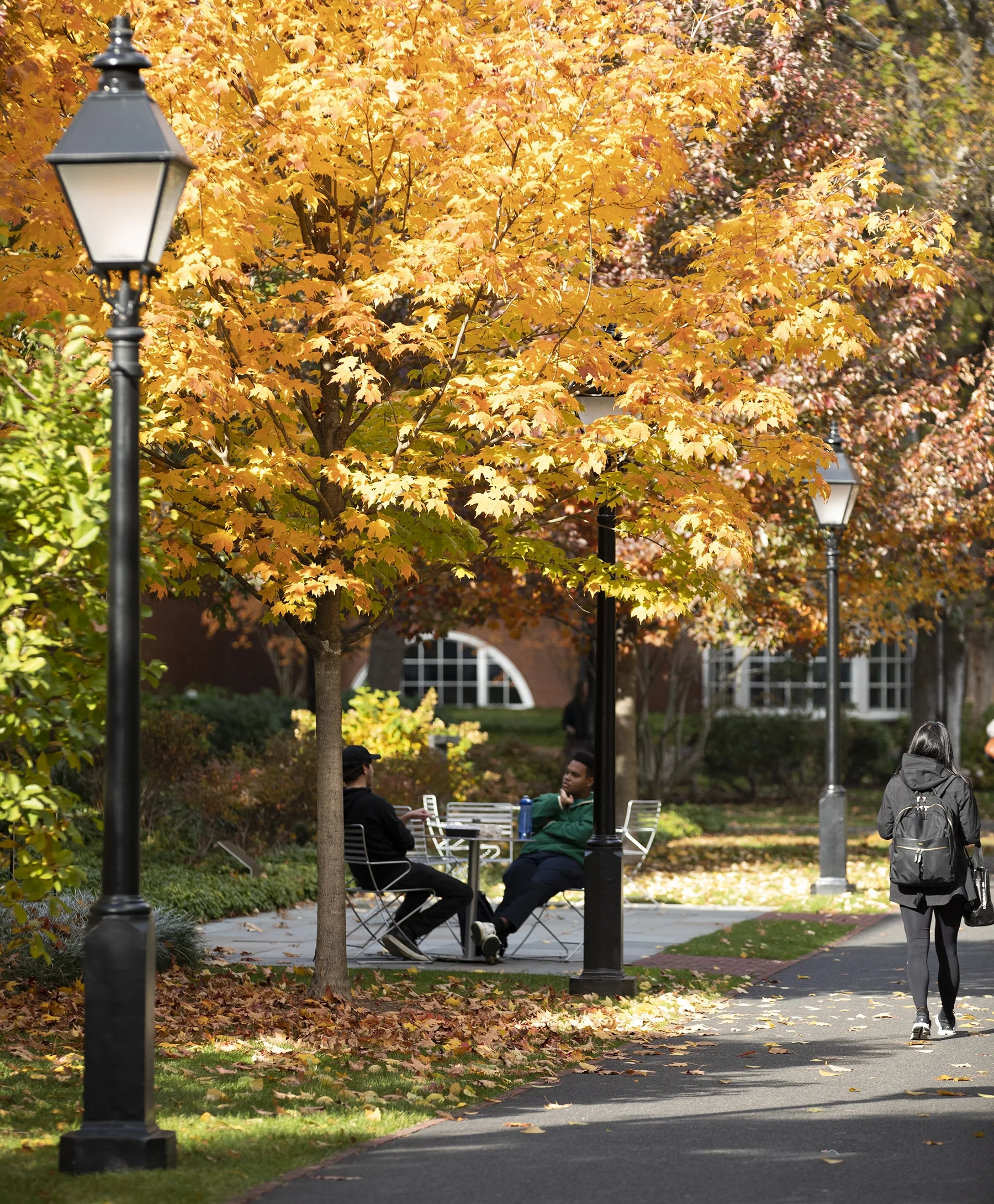 The Harvard Business School campus was designed with the belief that daily interactions increase the potential for learning.