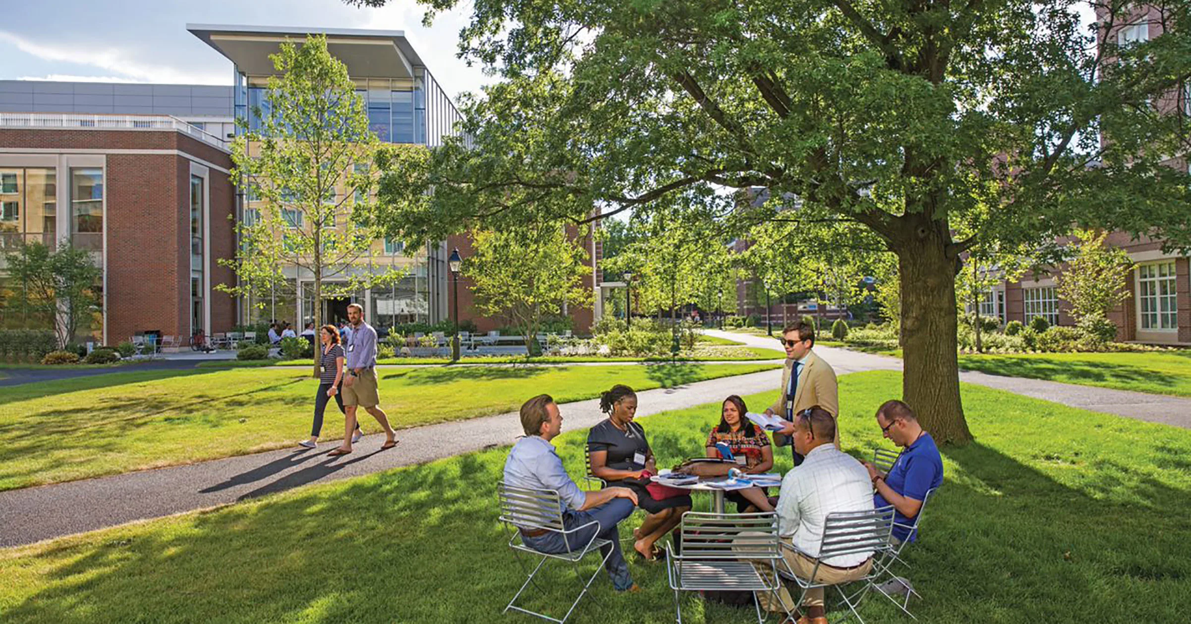 A group of executives collaborates outdoors on a green HBS campus, seated under a tree near Klarman hall 