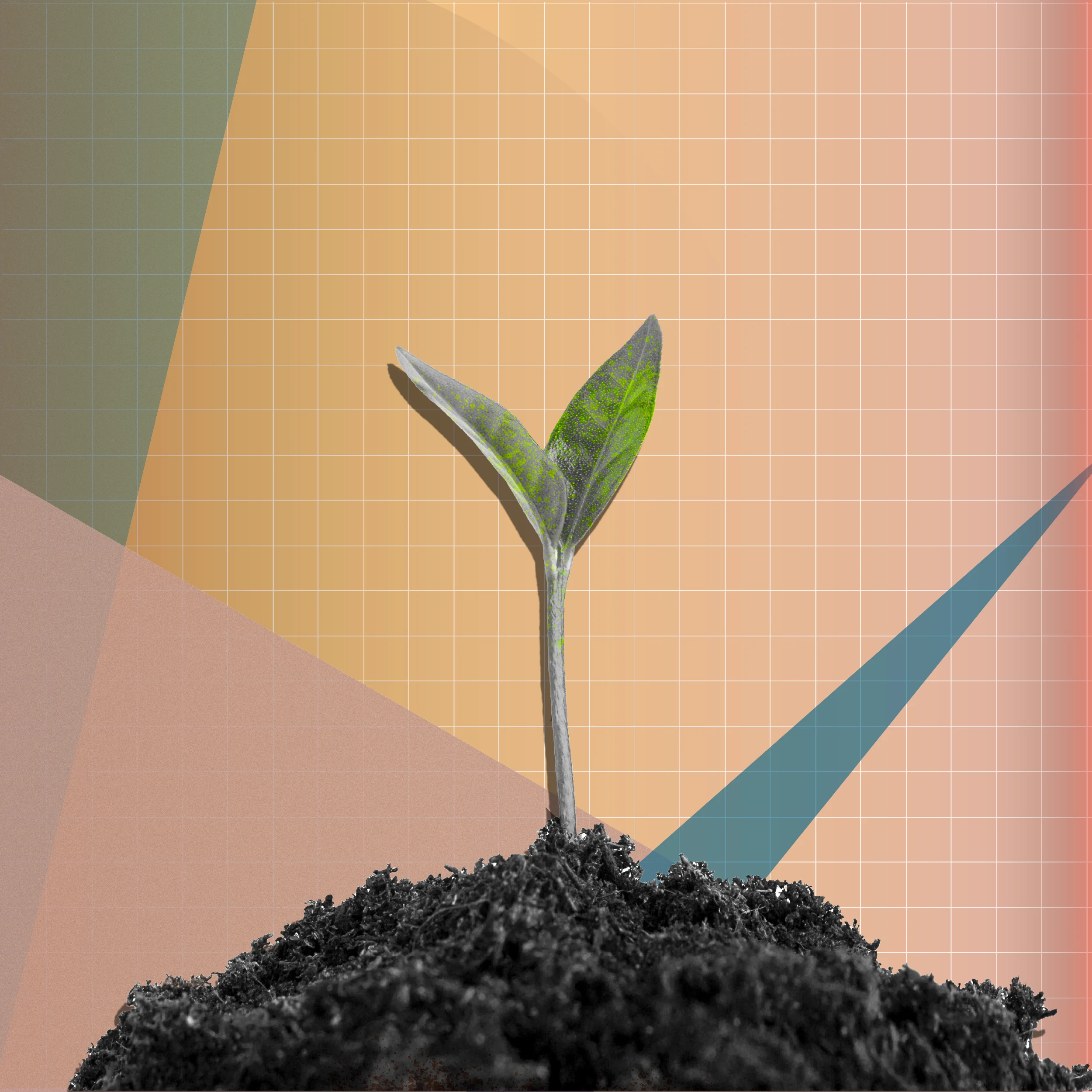 A plant bud rising from dirt against a gradient background with a grid and shapes.