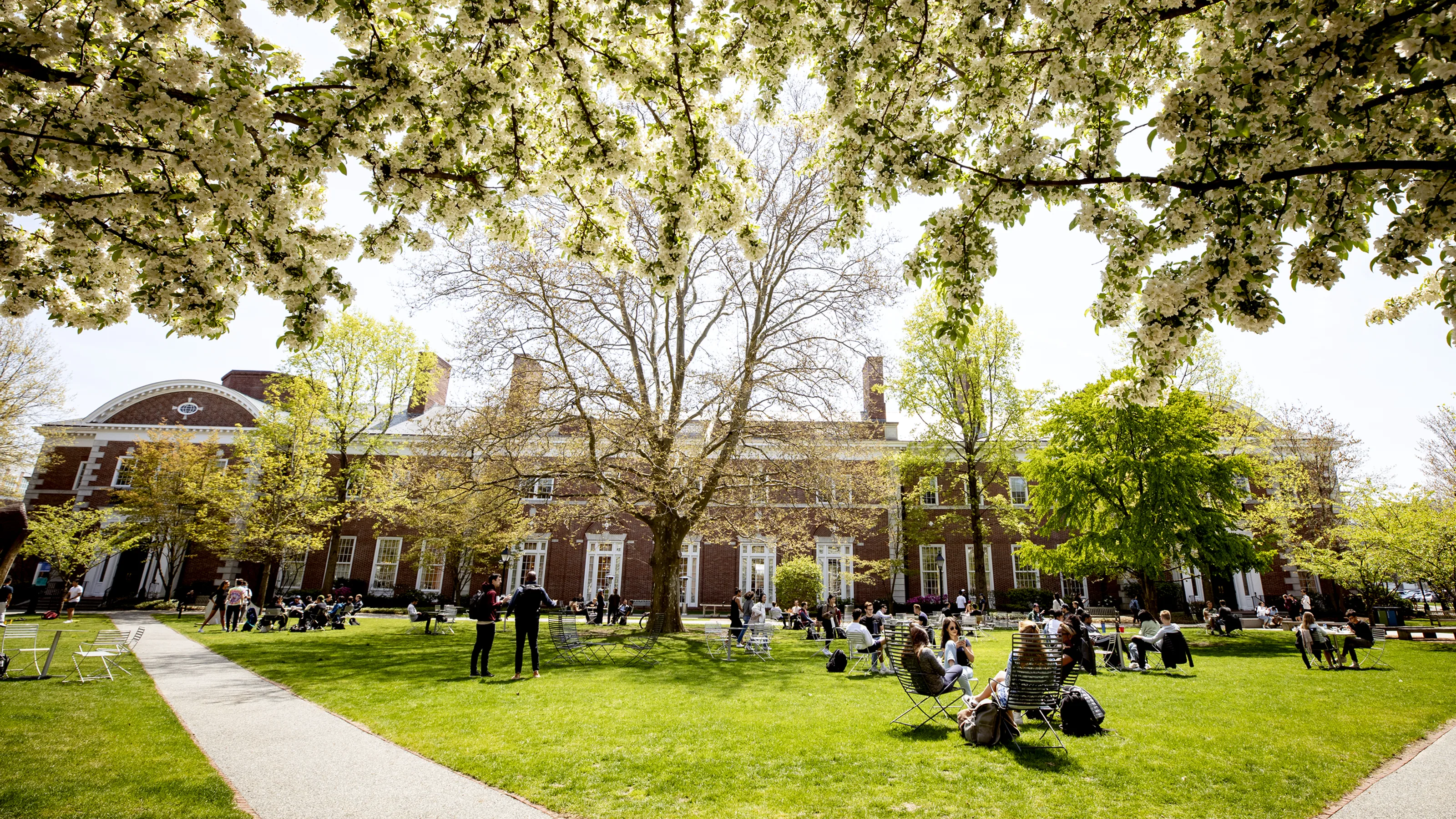 People sitting and walking on a grassy campus quad under blooming trees in front of a red-brick building.