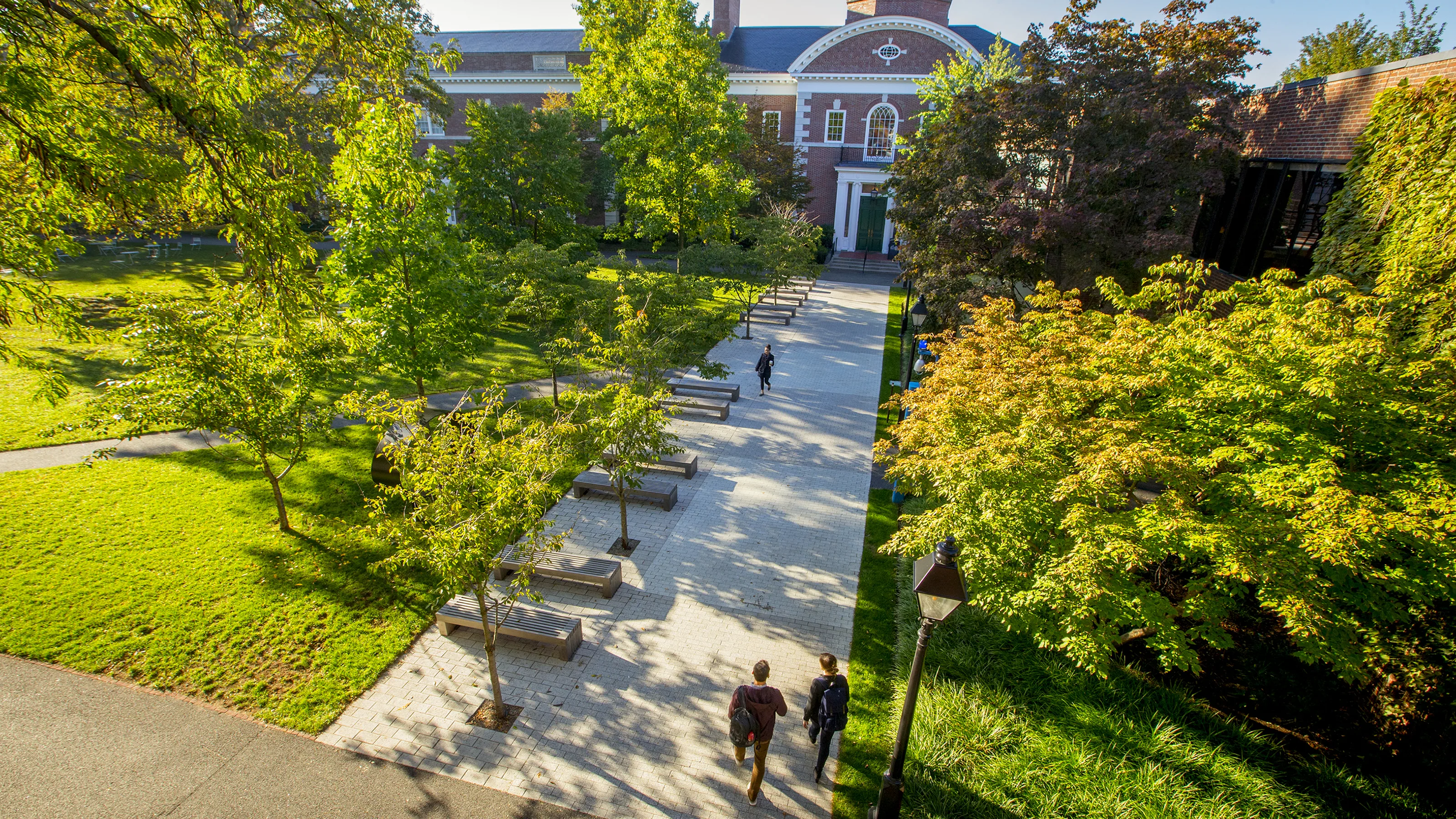 A tree-lined campus walkway with benches, leading to a brick academic building under clear skies.