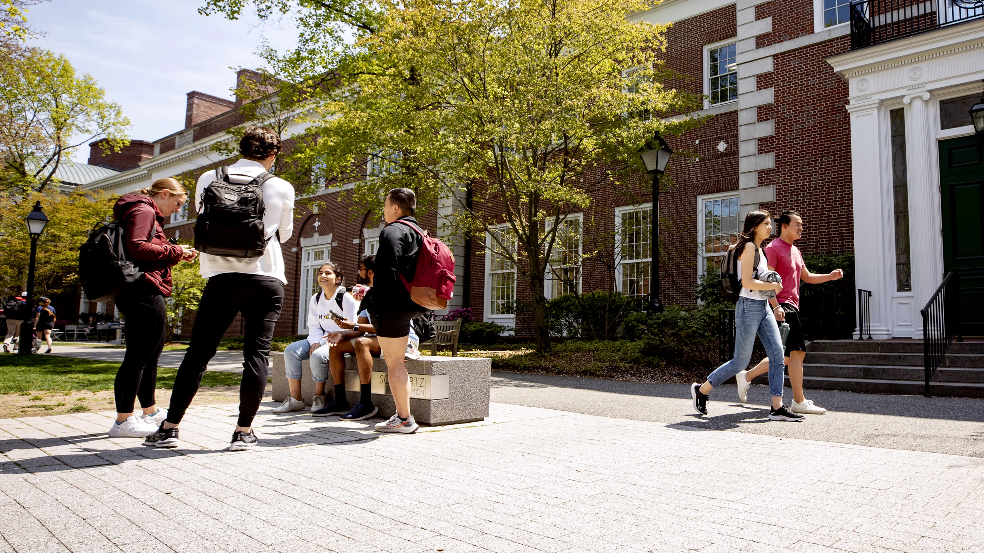 People sitting and walking on a grassy campus quad under blooming trees in front of a red-brick building.