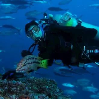 Liz scuba diving next to a fish