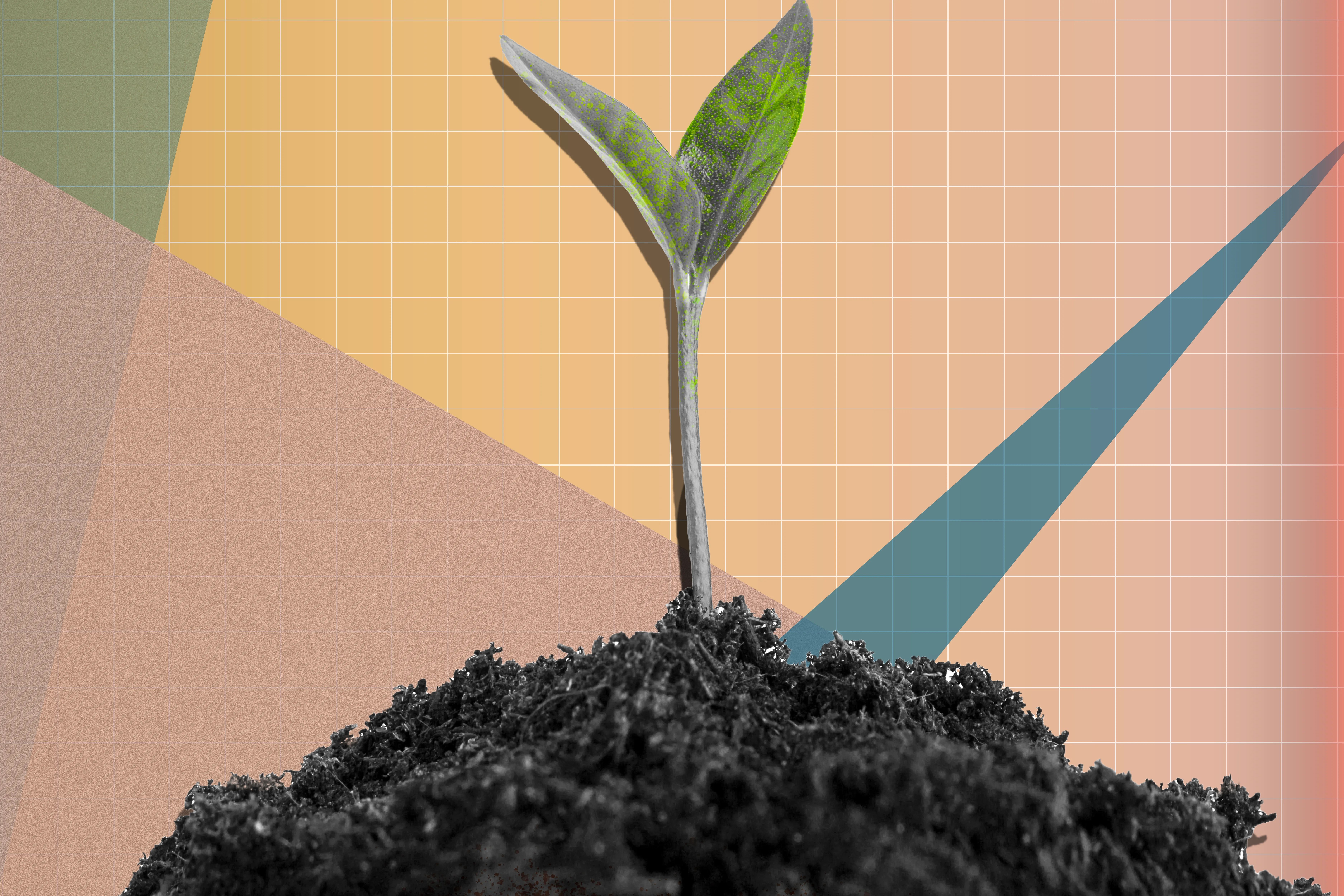 A plant bud rising from dirt against a gradient background with a grid and shapes.