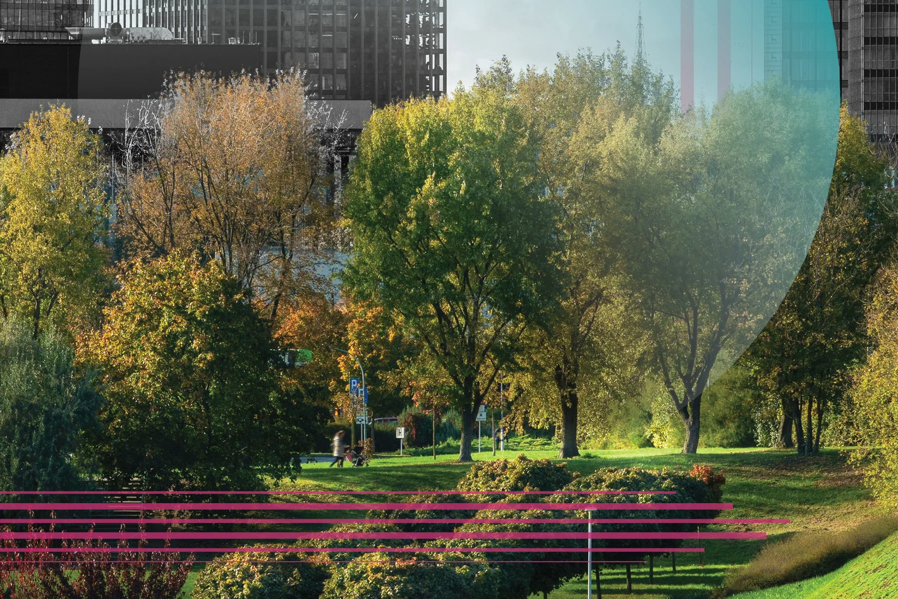 Park with green grass, trees, and shrubs in the foreground, with black and white buildings in the background. A large translucent teal circle and pink horizontal and vertical lines overlay the image.