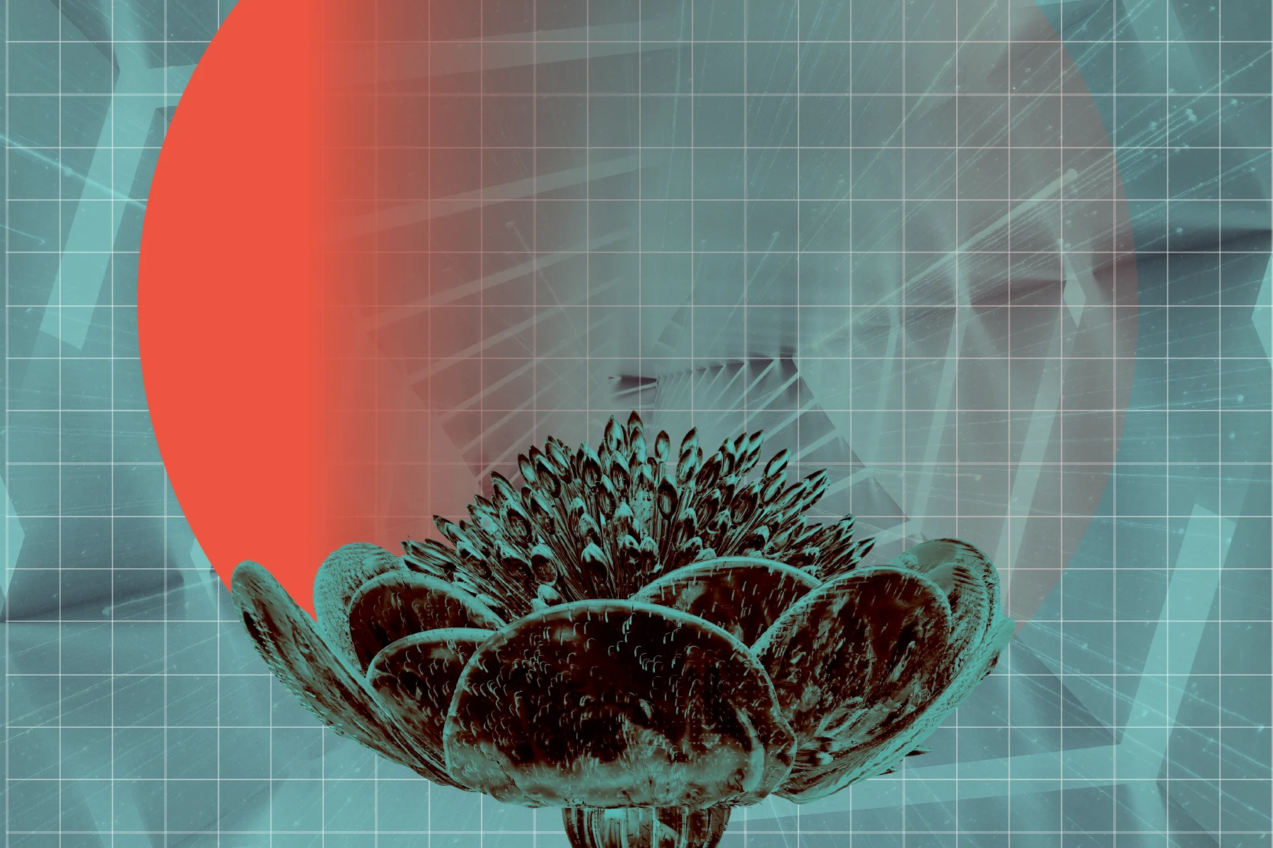 A duo-toned black and teal flower is centered against a large red circle and a blue grid background with faint abstract lines and shapes.