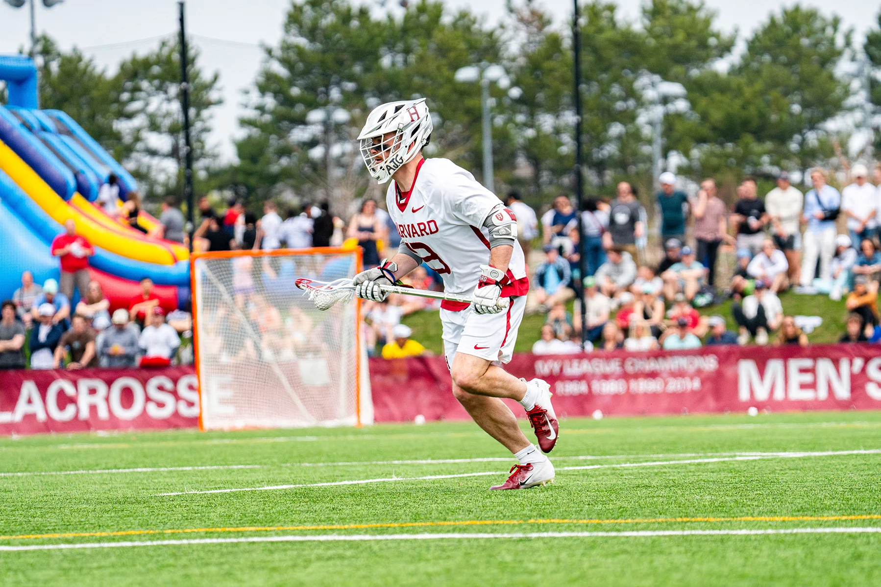 Harvard lacrosse in action.