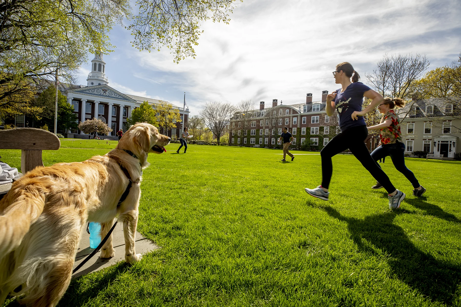 The lawn in front of Baker Library provides recreational space for students to enjoy and study.