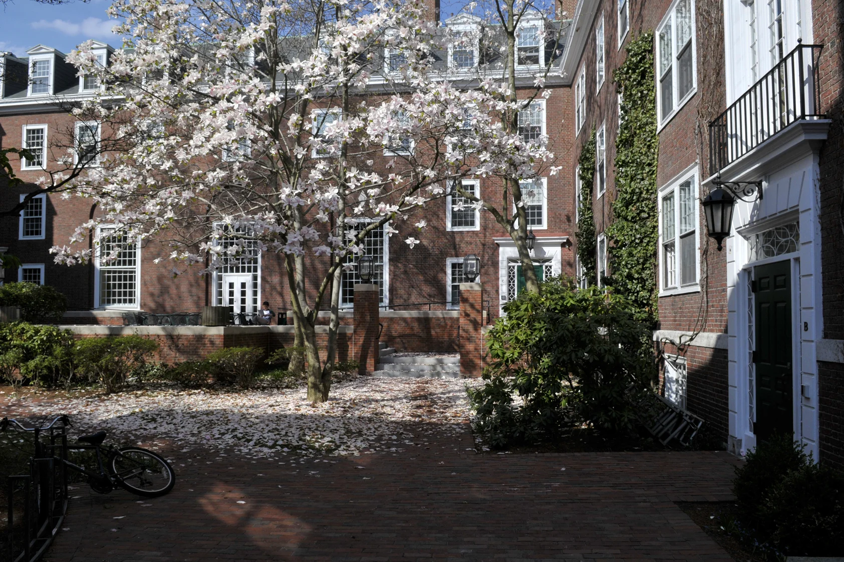 Morris Hall courtyard