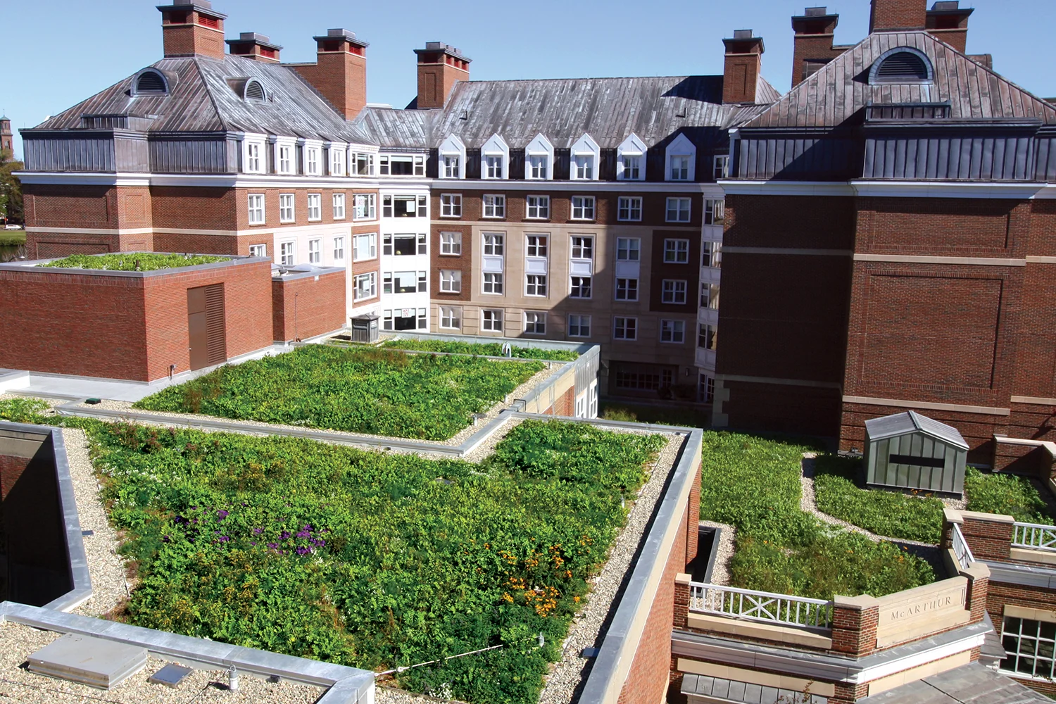 Green Roof, McCollum Center