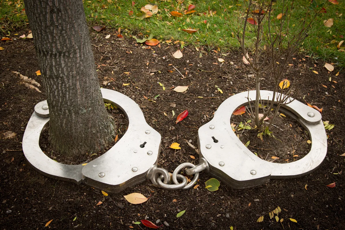 Yoan Capote Naturaleza Urbana, 2012