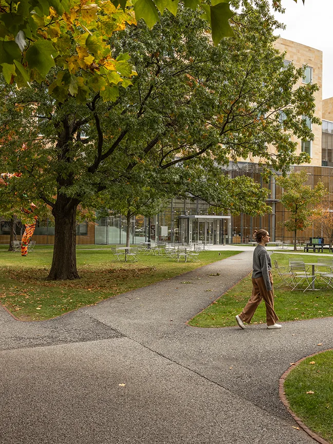 Woman walking across HBS campus on sidewalk lined with vibrant autumn trees 