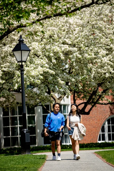 Two students stroll through campus in the sunshine