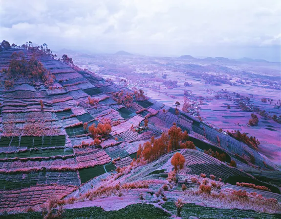 Richard Mosse Here Come the Warm Jets, North Kivu, Eastern