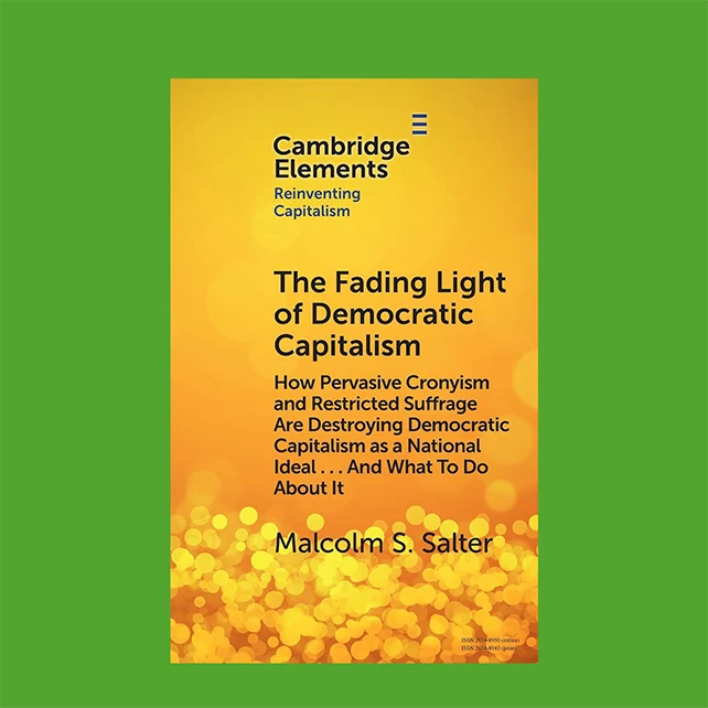 The Fading Light of Democratic Capitalism book cover