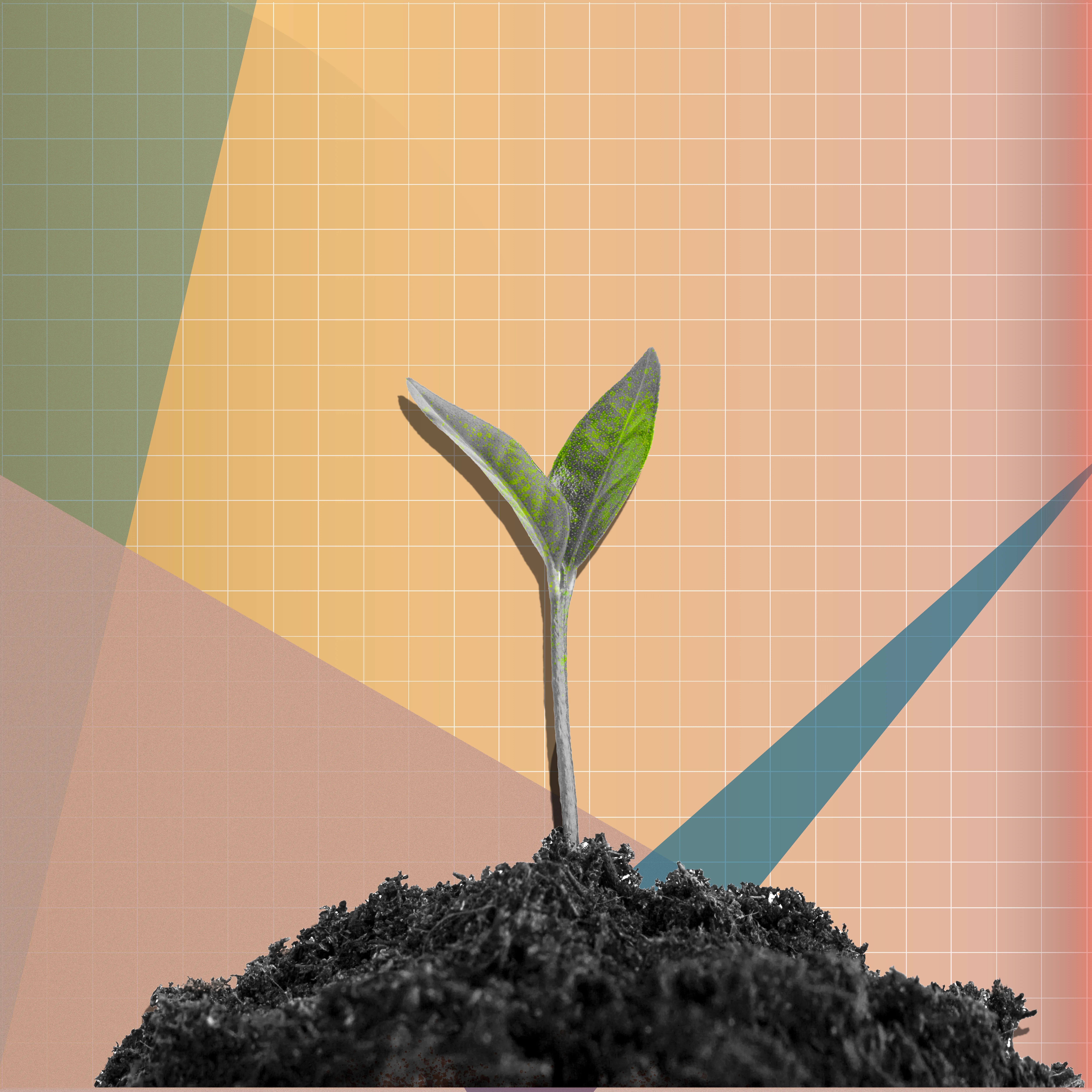 A plant bud rising from dirt against a gradient background with a grid and shapes.