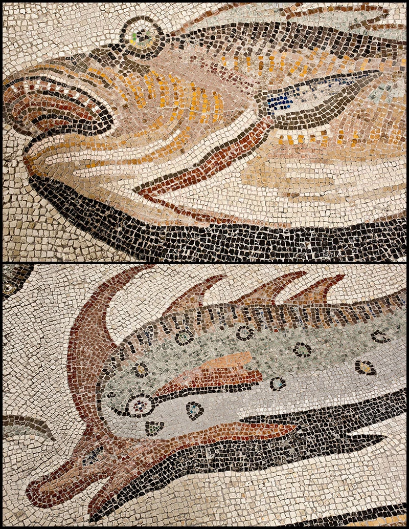 Close-up of mosaic details showing colorful fish with intricate patterns and scales from the Tethys mosaic
