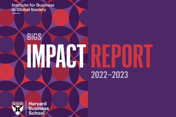 Cover for the 2023 BiGS Impact Report