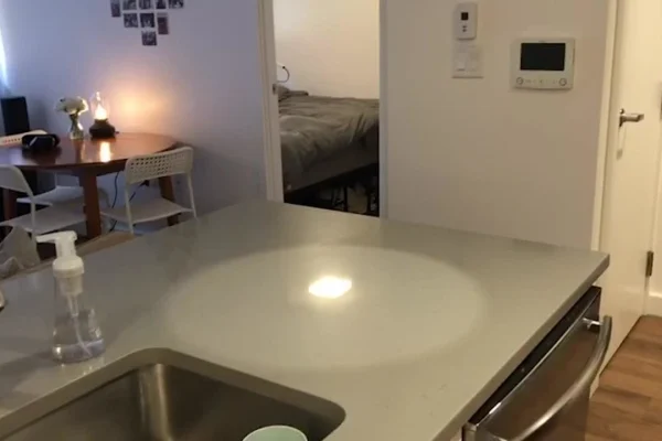 kitchen and dining room in an off-campus apartment