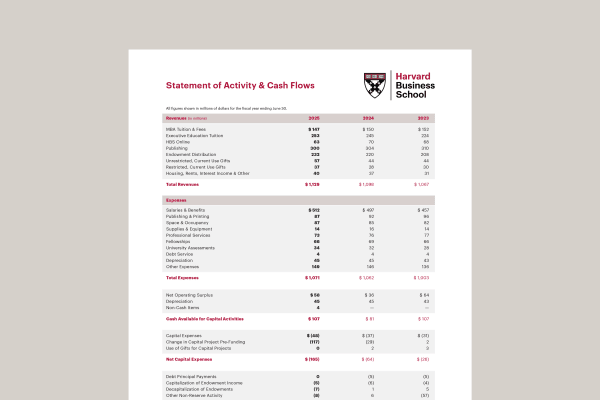 A representation of the Financials PDF downloadable for Harvard Business School's 2025 Annual Report.