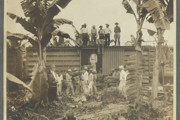 Workers loading bananas in Guatemala during the 1930s