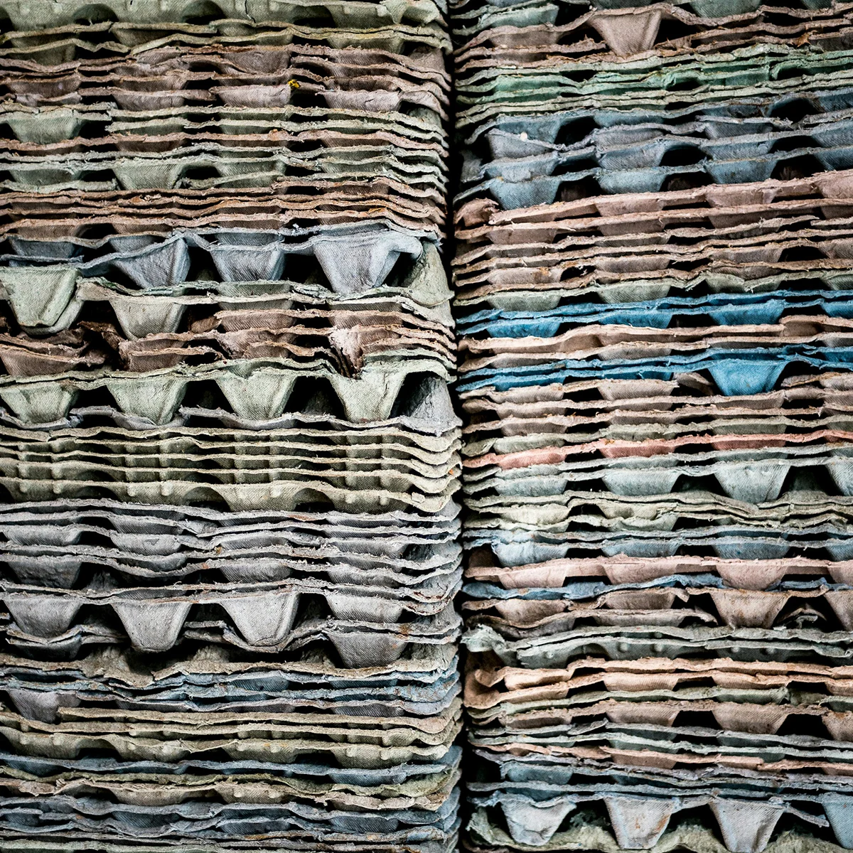 The Future of the Circular Economy: The Climate Rising Recap