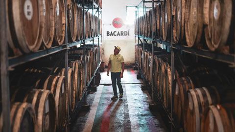man standing among bacardi barrels