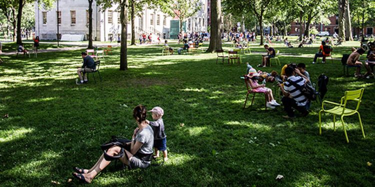 People relax in Harvard Yard