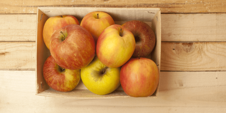 photo of a crate of apples