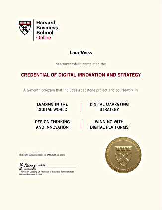Credential of Digital Innovation and Strategy