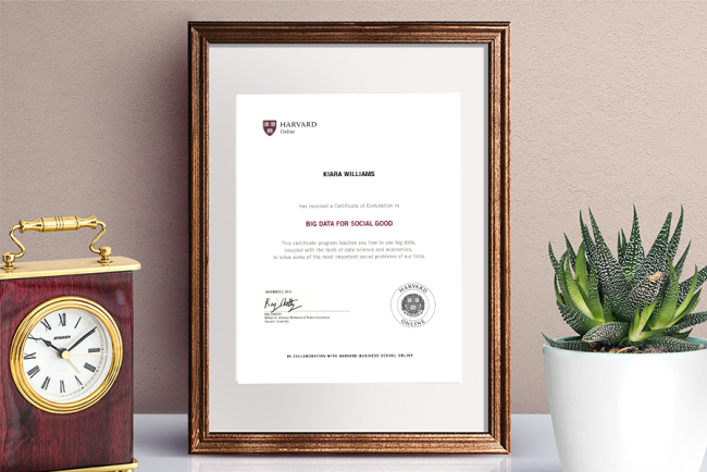 Big Data for Social Good Certificate of Completion from Harvard Online